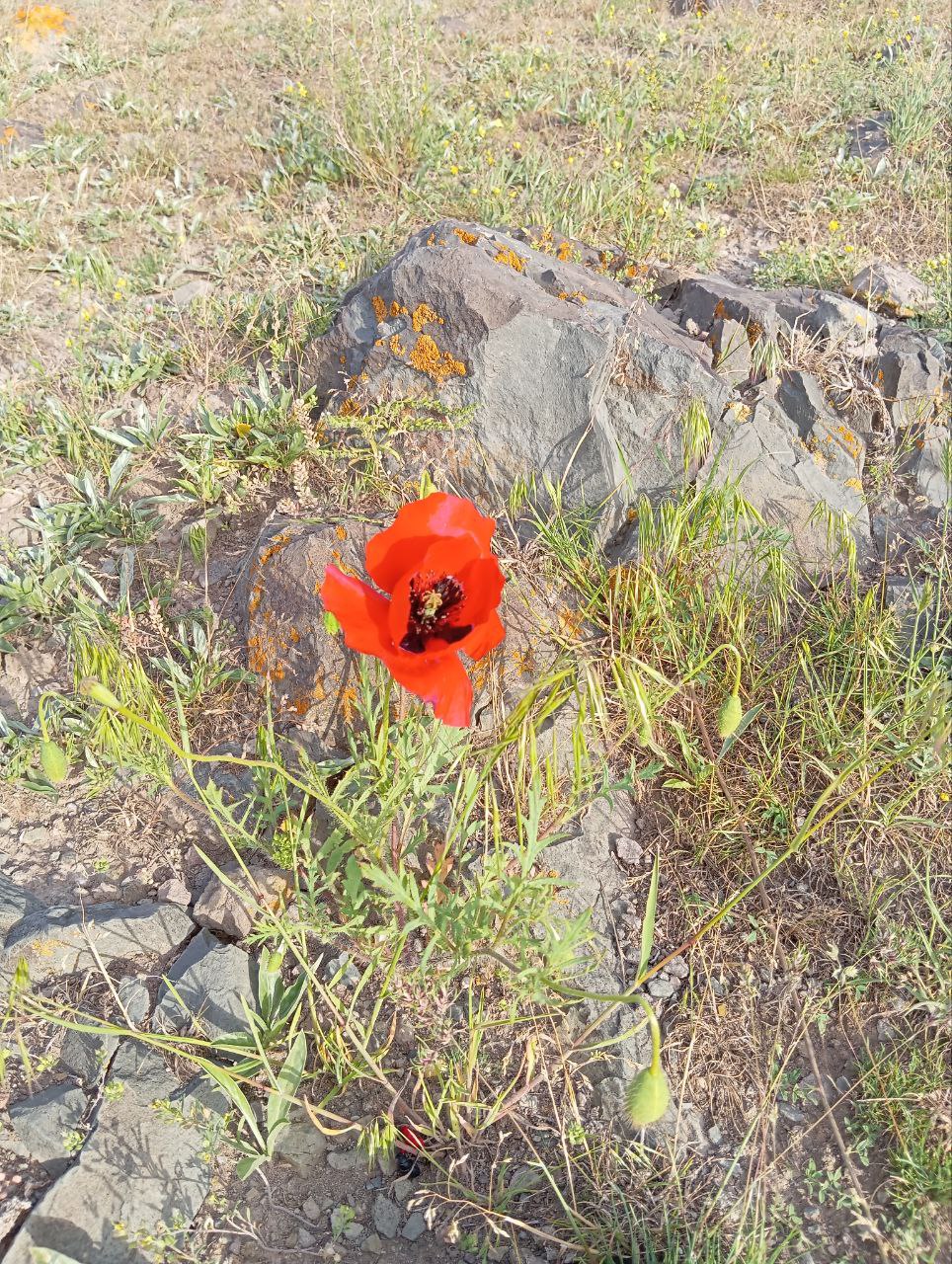 انرژی طبیعت